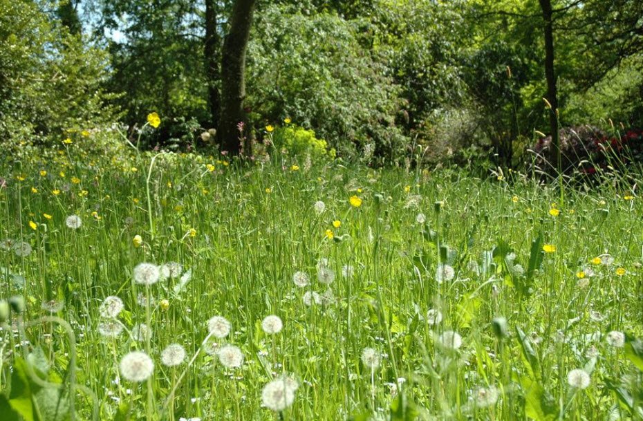 Holbrook Garden, , United Kingdom